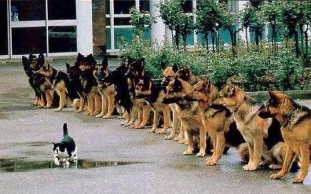 respect
